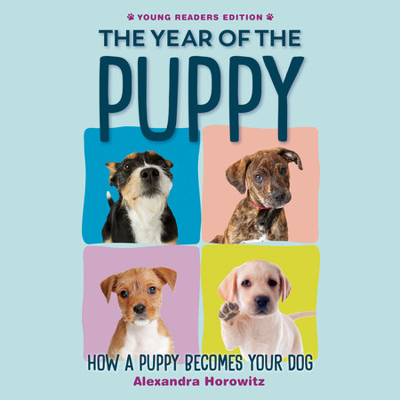 The Year of the Puppy by Alexandra Horowitz