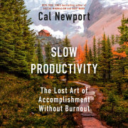 Slow Productivity 