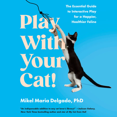Play With Your Cat! by Mikel Maria Delgado. PhD