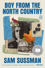 Boy from the North Country 