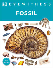 Eyewitness Fossil