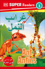 DK Super Readers Level 3 Ant Antics (Arabic translation)