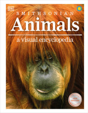 Animals A Visual Encyclopedia 