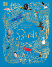 An Anthology of Exquisite Birds 