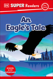 DK Super Readers Pre-level An Eagle's Tale 