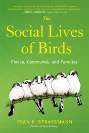 The Social Lives of Birds 