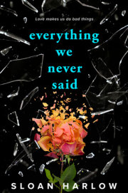 Everything We Never Said 