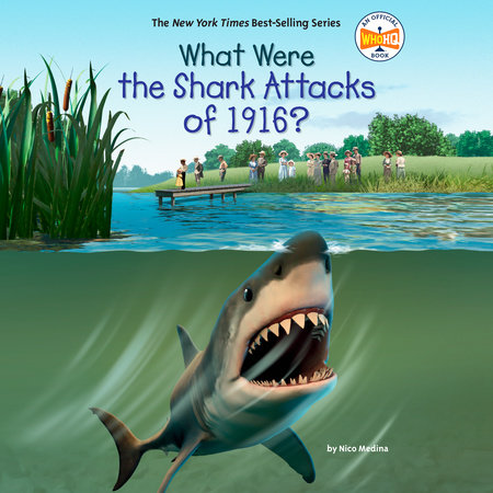 What Were the Shark Attacks of 1916? by Nico Medina & Who HQ