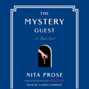 The Mystery Guest 