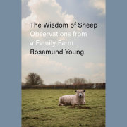 The Wisdom of Sheep