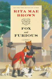 Fox and Furious 