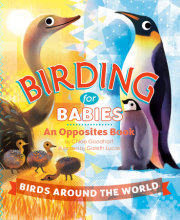 Birding for Babies: Birds Around the World 