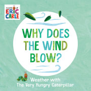 Why Does the Wind Blow? 