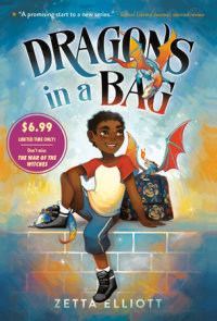 Book cover for Dragons in a Bag