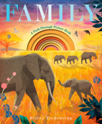 Book cover for Family: A Peek-Through Picture Book