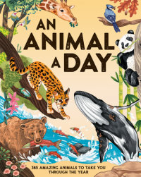 Cover of An Animal a Day