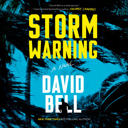 Storm Warning by David Bell