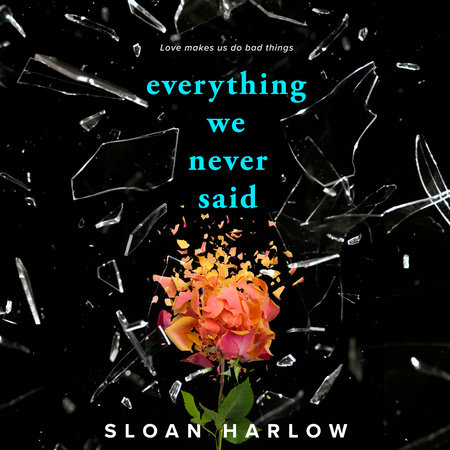 Everything We Never Said by Sloan Harlow