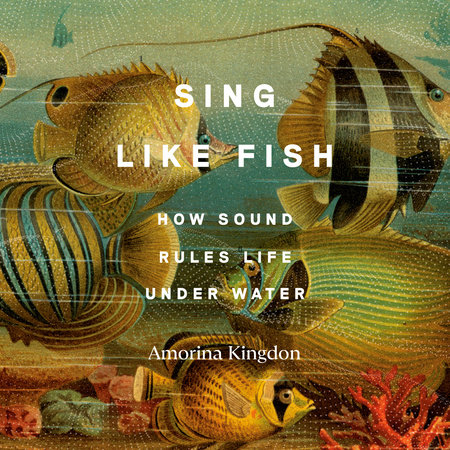 Sing Like Fish by Amorina Kingdon