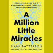 A Million Little Miracles