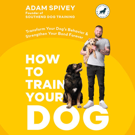 How to Train Your Dog by Adam Spivey