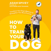 How to Train Your Dog 