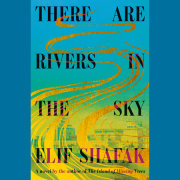 There Are Rivers in the Sky
