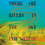 There Are Rivers in the Sky 