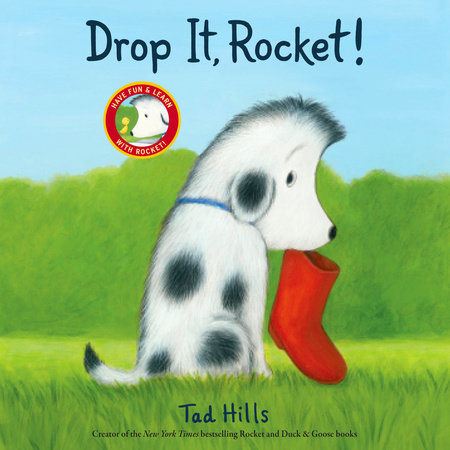Drop It, Rocket! by Tad Hills