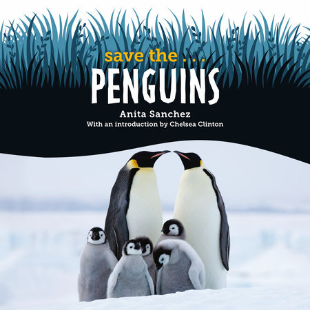 Save the... Penguins by Anita Sanchez & Chelsea Clinton