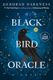 The Black Bird Oracle 