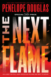 The Next Flame 