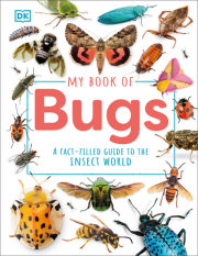 My Book of Bugs 