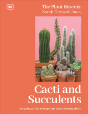 Cacti and Succulents 
