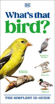 What's that Bird? 