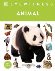 Eyewitness Animal 