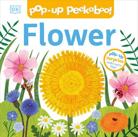 Pop-Up Peekaboo! Flower