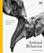 Animal Behavior 