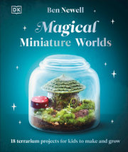 Magical Miniature Worlds 