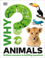 Why? Animals 