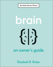 Brain 