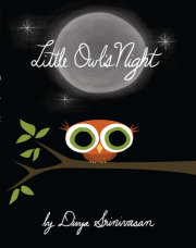 Little Owl's Night 