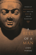 Bull of a Man