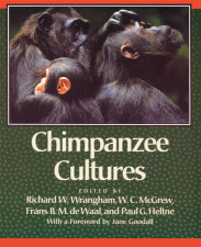 Chimpanzee Cultures