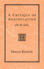 Critique of Adjudication