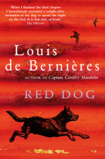 Red Dog