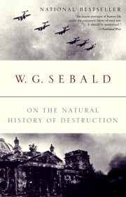 On the Natural History of Destruction 