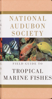 National Audubon Society Field Guide to Tropical Marine Fishes 