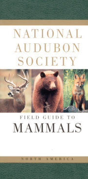 National Audubon Society Field Guide to North American Mammals