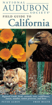 National Audubon Society Field Guide to California 